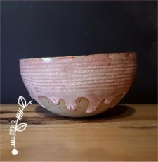 02 BOWL ROZE 2 STUKS