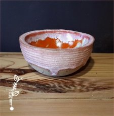 03 BOWL ROZE